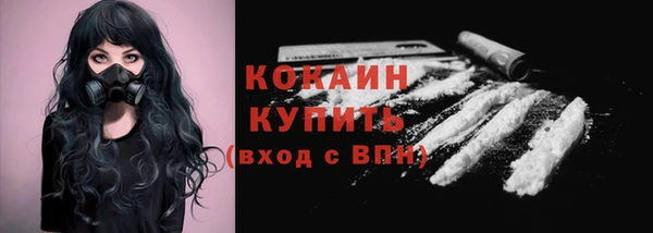 амф Бронницы