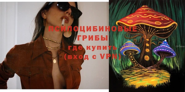 стаф Новодвинск