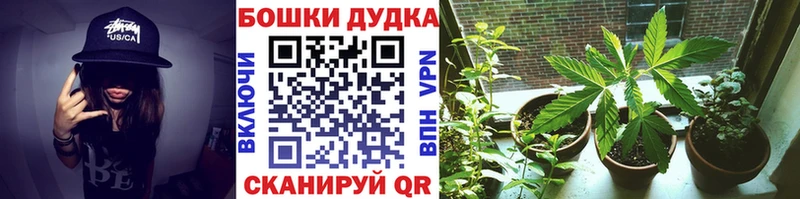 мориарти как зайти  Задонск  Бошки Шишки планчик 